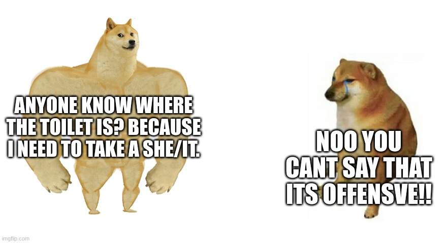 LGBTQ moment: | ANYONE KNOW WHERE THE TOILET IS? BECAUSE I NEED TO TAKE A SHE/IT. NOO YOU CANT SAY THAT ITS OFFENSVE!! | image tagged in buff doge vs crying cheems,gifs,funny,memes | made w/ Imgflip meme maker