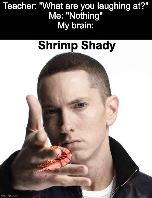 I just thought of this lmao | Teacher: "What are you laughing at?"
Me: "Nothing"
My brain:; Shrimp Shady | image tagged in eminem,slim shady,memes,funny,shrimp,front page plz | made w/ Imgflip meme maker