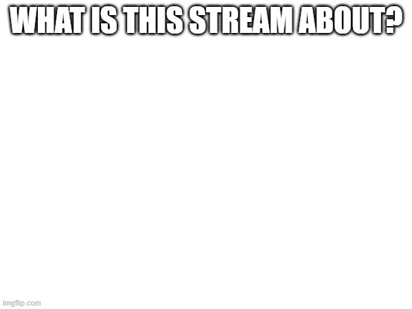 WHAT IS THIS STREAM ABOUT? | made w/ Imgflip meme maker