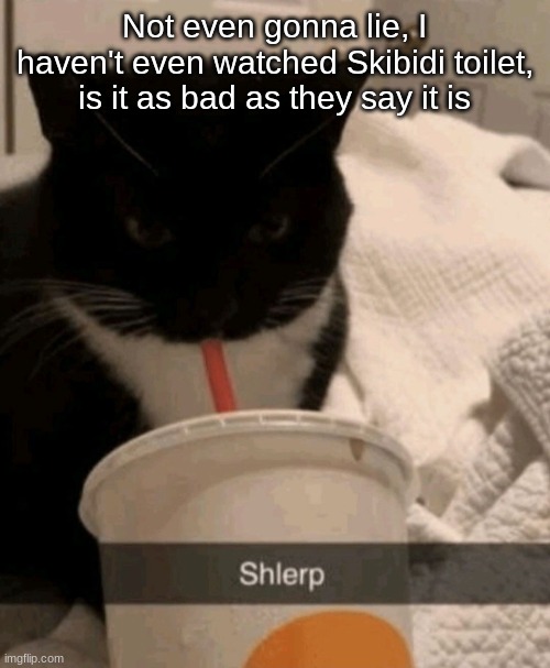 Shlerp | Not even gonna lie, I haven't even watched Skibidi toilet, is it as bad as they say it is | image tagged in shlerp | made w/ Imgflip meme maker