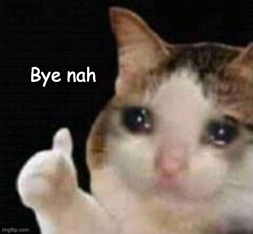 bye nah | Bye nah | image tagged in approved crying cat | made w/ Imgflip meme maker