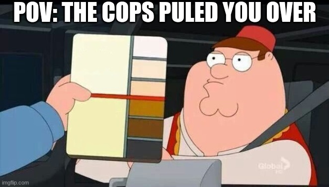 Peter Griffin skin color chart race terrorist blank | POV: THE COPS PULED YOU OVER | image tagged in peter griffin skin color chart race terrorist blank | made w/ Imgflip meme maker