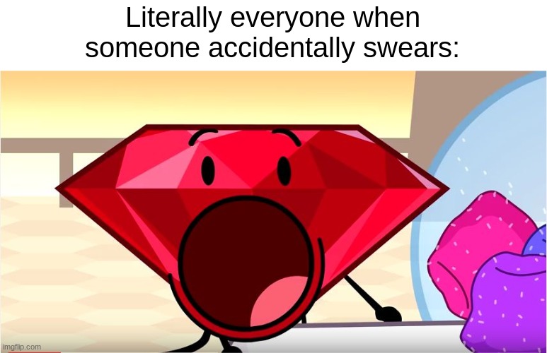OOH YOU SAID A BAD WORD!111!!!1!11!! | Literally everyone when someone accidentally swears: | image tagged in bfdi ruby,gasp,omg | made w/ Imgflip meme maker
