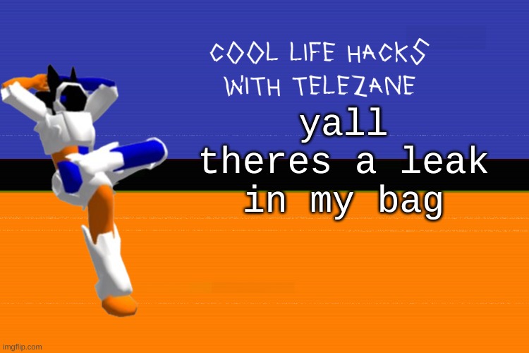cool life hacks with telezane | yall theres a leak in my bag | image tagged in cool life hacks with telezane | made w/ Imgflip meme maker