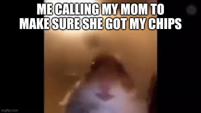 ME CALLING MY MOM TO MAKE SURE SHE GOT MY CHIPS | image tagged in funy memes | made w/ Imgflip meme maker