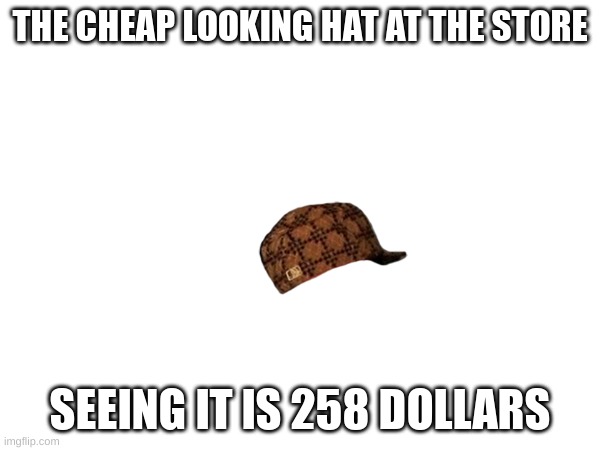 THE CHEAP LOOKING HAT AT THE STORE; SEEING IT IS 258 DOLLARS | image tagged in weird stuff | made w/ Imgflip meme maker