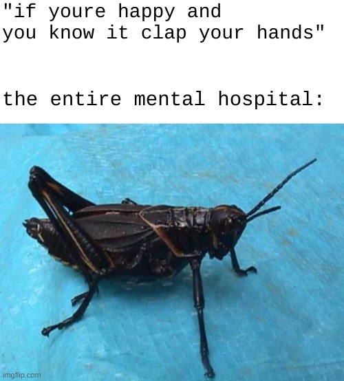 [[crickets intensify]] | "if youre happy and you know it clap your hands"; the entire mental hospital: | image tagged in blank white template,cricket | made w/ Imgflip meme maker