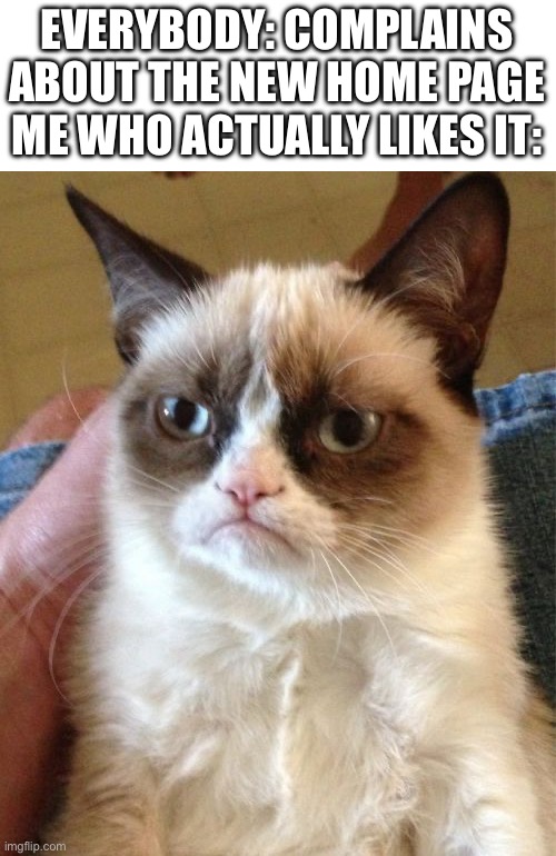 Chill guys | EVERYBODY: COMPLAINS ABOUT THE NEW HOME PAGE
ME WHO ACTUALLY LIKES IT: | image tagged in memes,grumpy cat,new home page | made w/ Imgflip meme maker