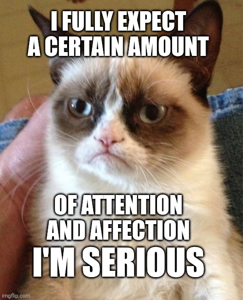 Grumpy cat | I FULLY EXPECT A CERTAIN AMOUNT; OF ATTENTION AND AFFECTION; I'M SERIOUS | image tagged in memes,grumpy cat,cats,cat | made w/ Imgflip meme maker