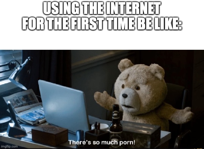 There's so much porn! | USING THE INTERNET FOR THE FIRST TIME BE LIKE: | image tagged in there's so much porn | made w/ Imgflip meme maker