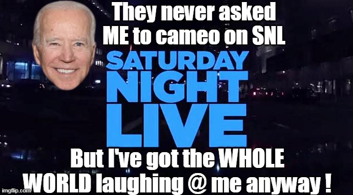 They never asked ME to cameo on SNL But I've got the WHOLE WORLD laughing @ me anyway ! | made w/ Imgflip meme maker