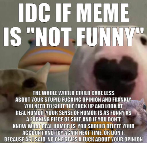 IDC if meme is not funny Blank Meme Template
