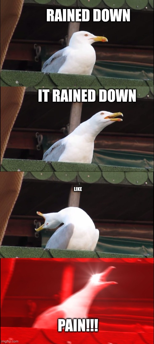 Imagine Dragons be like: | RAINED DOWN; IT RAINED DOWN; LIKE; PAIN!!! | image tagged in memes,inhaling seagull,imagine dragons,music,song lyrics,inhaling seagull 4 red | made w/ Imgflip meme maker