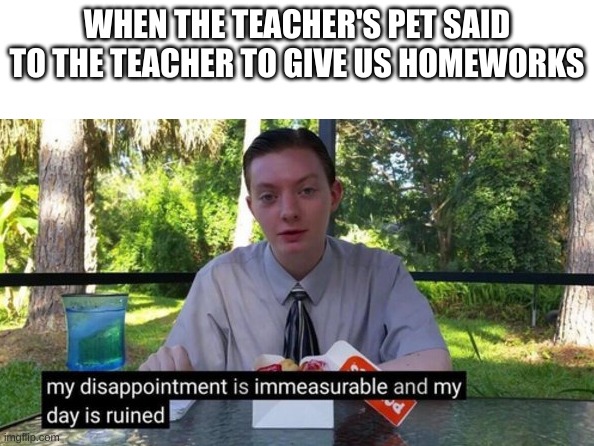 My day is ruined | WHEN THE TEACHER'S PET SAID TO THE TEACHER TO GIVE US HOMEWORKS | image tagged in my day is ruined | made w/ Imgflip meme maker