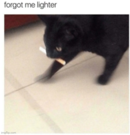 Forgot me lighter | image tagged in forgot me lighter | made w/ Imgflip meme maker