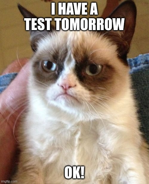 Grumpy Cat Meme | I HAVE A TEST TOMORROW; OK! | image tagged in memes,grumpy cat | made w/ Imgflip meme maker