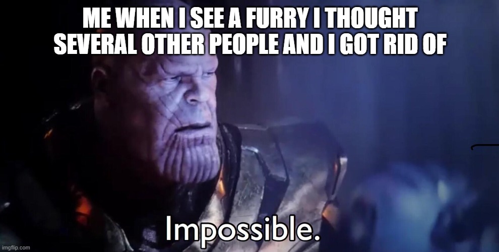 ME WHEN I SEE A FURRY I THOUGHT SEVERAL OTHER PEOPLE AND I GOT RID OF | image tagged in thanos impossible | made w/ Imgflip meme maker
