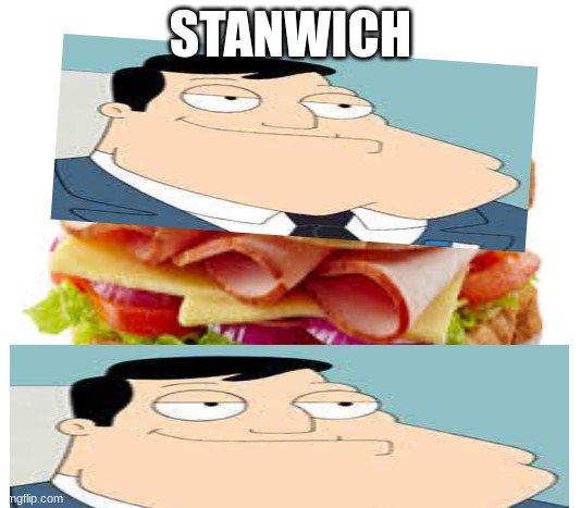 Stanwich, am i wrong? | STANWICH | image tagged in sandwhich | made w/ Imgflip meme maker