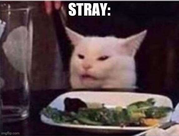 white dinner table cat | STRAY: | image tagged in white dinner table cat | made w/ Imgflip meme maker