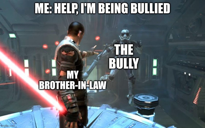 Never Underestimate the Power of the Family | ME: HELP, I'M BEING BULLIED; THE BULLY; MY BROTHER-IN-LAW | image tagged in starkiller choking a stormtrooper | made w/ Imgflip meme maker