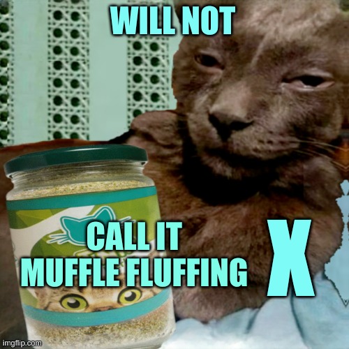 Shit Poster 4 Lyfe | WILL NOT CALL IT MUFFLE FLUFFING X | image tagged in ship osta 4 lyfe | made w/ Imgflip meme maker