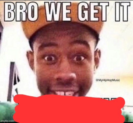 BRO WE GET IT YOU'RE GAY | image tagged in bro we get it you're gay | made w/ Imgflip meme maker