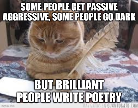 Poetry | SOME PEOPLE GET PASSIVE AGGRESSIVE, SOME PEOPLE GO DARK; BUT BRILLIANT PEOPLE WRITE POETRY | image tagged in writer cat | made w/ Imgflip meme maker