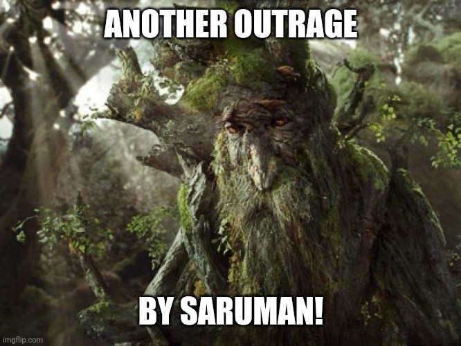 Treebeard Meme | ANOTHER OUTRAGE BY SARUMAN! | image tagged in treebeard meme | made w/ Imgflip meme maker