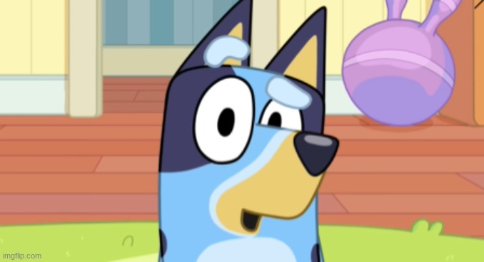 bluey suprised | image tagged in bluey suprised | made w/ Imgflip meme maker