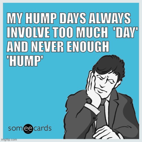Hump Day Blues | MY HUMP DAYS ALWAYS
INVOLVE TOO MUCH  'DAY' 
AND NEVER ENOUGH
'HUMP' | image tagged in hump day,hump | made w/ Imgflip meme maker