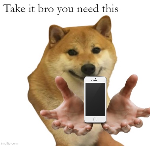 Take It Bro You Need This Blank | image tagged in take it bro you need this blank | made w/ Imgflip meme maker