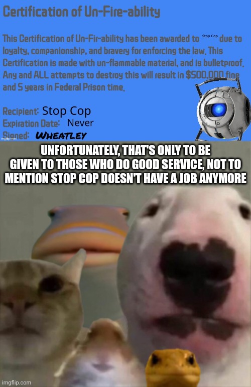 UNFORTUNATELY, THAT'S ONLY TO BE GIVEN TO THOSE WHO DO GOOD SERVICE, NOT TO MENTION STOP COP DOESN'T HAVE A JOB ANYMORE | image tagged in the council | made w/ Imgflip meme maker