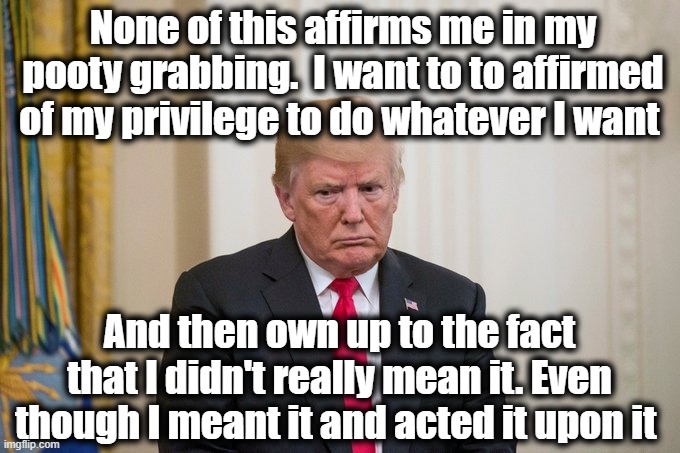 Trump Rage | None of this affirms me in my pooty grabbing.  I want to to affirmed of my privilege to do whatever I want And then own up to the fact that  | image tagged in trump rage | made w/ Imgflip meme maker