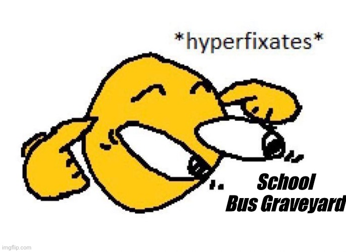 TYLER!!!!!!!!!!! | School Bus Graveyard | image tagged in hyperfixates | made w/ Imgflip meme maker
