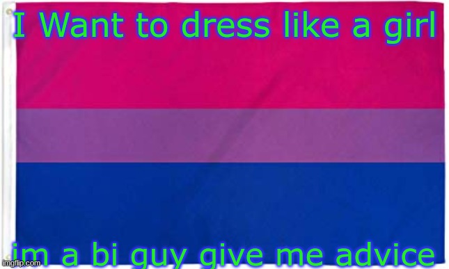 PLS i cant be normal much longer | I Want to dress like a girl; im a bi guy give me advice | image tagged in bisexual flag | made w/ Imgflip meme maker