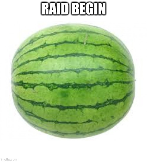 Watermelon | RAID BEGIN | image tagged in watermelon | made w/ Imgflip meme maker