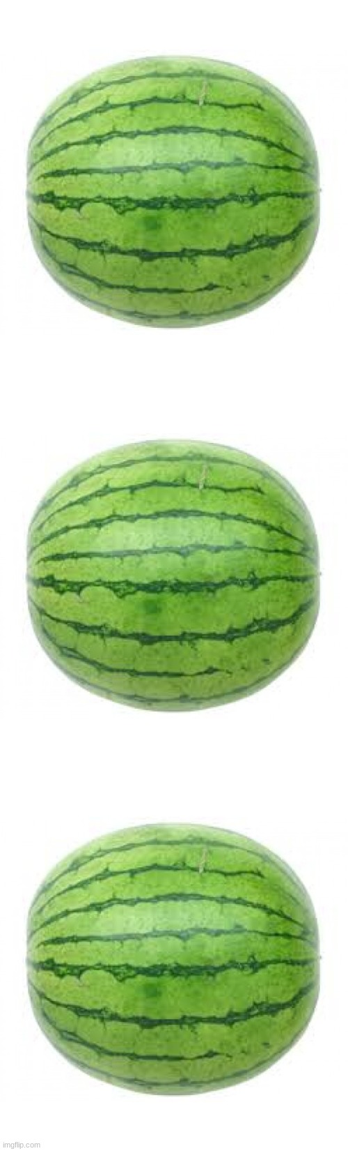 image tagged in watermelon | made w/ Imgflip meme maker