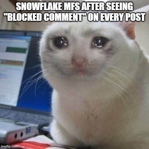 Crying cat | SNOWFLAKE MFS AFTER SEEING "BLOCKED COMMENT" ON EVERY POST | image tagged in crying cat | made w/ Imgflip meme maker