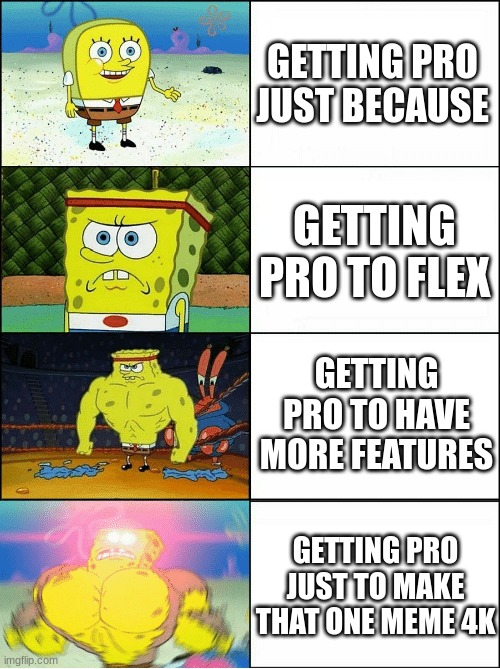 Sponge Finna Commit Muder | GETTING PRO JUST BECAUSE; GETTING PRO TO FLEX; GETTING PRO TO HAVE MORE FEATURES; GETTING PRO JUST TO MAKE THAT ONE MEME 4K | image tagged in sponge finna commit muder | made w/ Imgflip meme maker