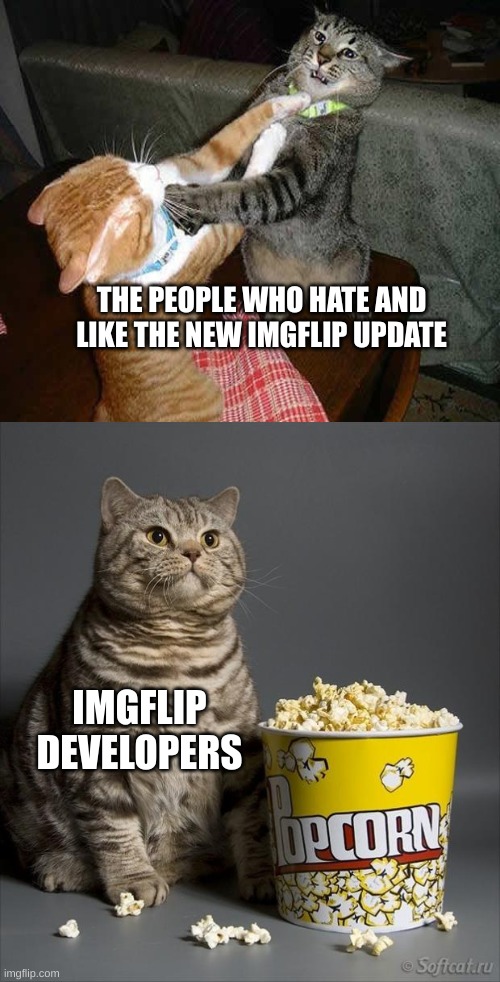 PLEASE JUST GET RID OF IT | THE PEOPLE WHO HATE AND LIKE THE NEW IMGFLIP UPDATE; IMGFLIP DEVELOPERS | image tagged in cat watching other cats fight,imgflip update,meanwhile on imgflip,memes,update | made w/ Imgflip meme maker