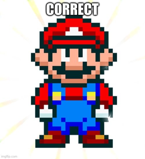 SNES Mario Death Stare | CORRECT | image tagged in snes mario death stare | made w/ Imgflip meme maker