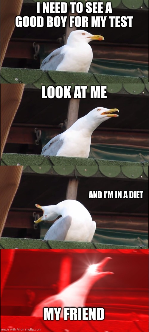 Inhaling Seagull Meme | I NEED TO SEE A GOOD BOY FOR MY TEST; LOOK AT ME; AND I'M IN A DIET; MY FRIEND | image tagged in memes,inhaling seagull | made w/ Imgflip meme maker