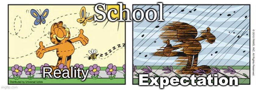 garfield expectation reality | School; Reality; Expectation | image tagged in garfield expectation reality | made w/ Imgflip meme maker