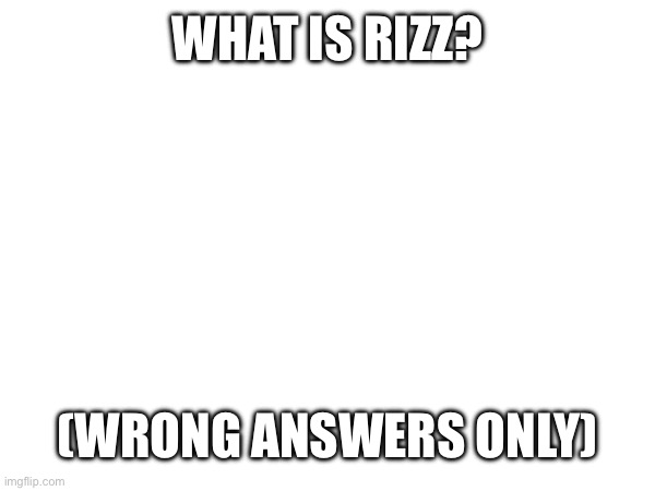 WHAT IS RIZZ? (WRONG ANSWERS ONLY) | image tagged in funny | made w/ Imgflip meme maker
