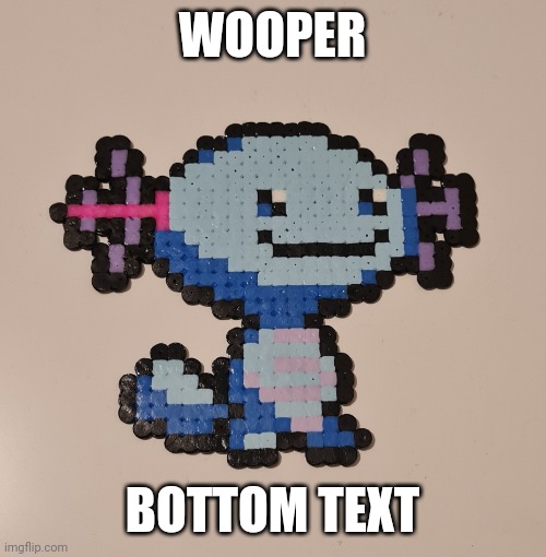 WOOPER; BOTTOM TEXT | made w/ Imgflip meme maker