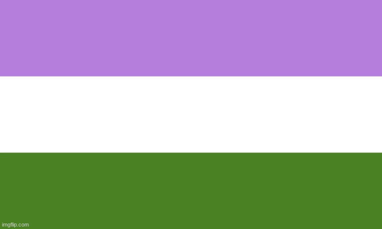 genderqueer | image tagged in queer flag | made w/ Imgflip meme maker