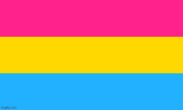 pansexual | image tagged in pan flag | made w/ Imgflip meme maker