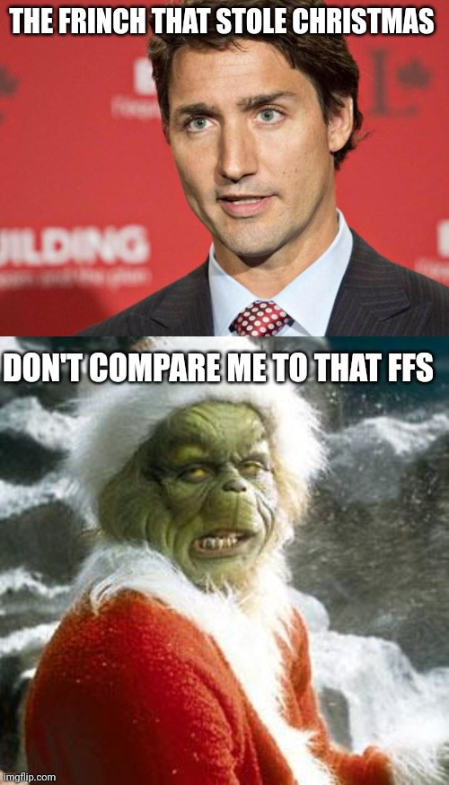 THE FRINCH THAT STOLE CHRISTMAS; DON'T COMPARE ME TO THAT FFS | image tagged in trudeau,grinch | made w/ Imgflip meme maker