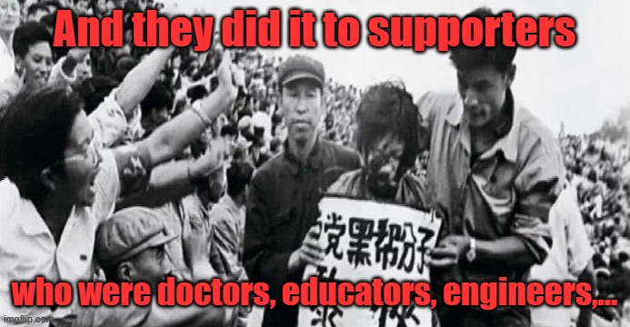 China Cultural Revolution | And they did it to supporters who were doctors, educators, engineers,... | image tagged in china cultural revolution | made w/ Imgflip meme maker