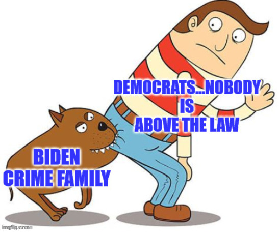 The American Justus System...   The Big Club and you ain't in it... | image tagged in biden,crime,family,i am above the law | made w/ Imgflip meme maker